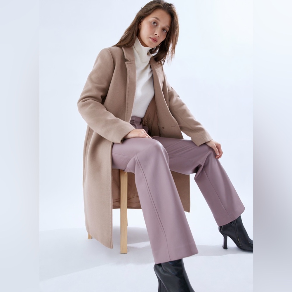 Aritzia Babaton Stedman Coat in Dovetail Taupe, Size Small! 🤎 - Picture 3 of 9